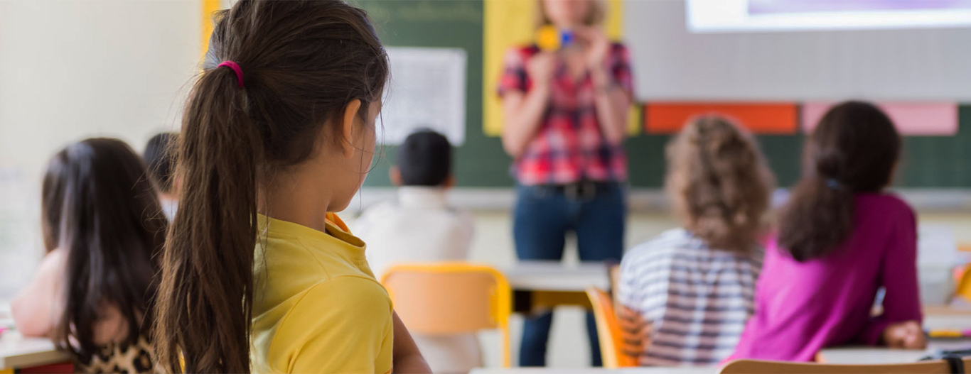 Substitute Pool The Imagine Institute